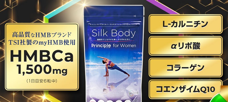 SilkBody���T�C�g